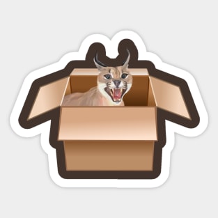 Caracal Cat Peeping from Cardboard Box Sticker